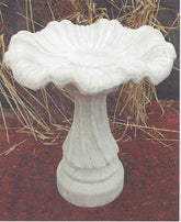 Photo of Birdbath - Swirl Base - Shallow Tulip Top - Marquis Gardens